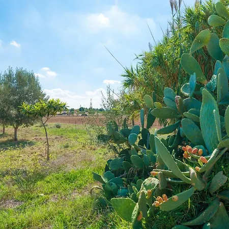 Granja Villa Inca (Mallorca)
