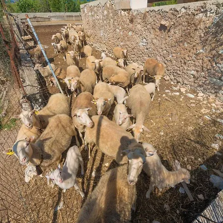 Granja Villa