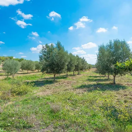 Granja * Inca (Mallorca)